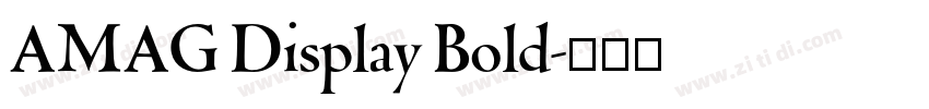 AMAG Display Bold字体转换